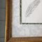 Feather, 1970s, Pencil Drawing, Framed 3
