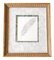 Feather, 1970s, Pencil Drawing, Framed 1