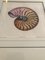 Dan Mitra, Nautical Shells, 1980s, Lithographs, Framed, Set of 6 2