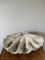 Large Mid 20th Century Faux Clam Shell 2