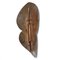 Escudo de madera Dogon vintage, Imagen 4