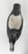 Mid 20th Century Carved Wooden Black & White Duck Decoy 9