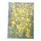 Peter Duncan, Sonnenblumen, 2000er, Encaustic Painting on Paper 1