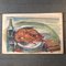 Lobster P.Town Mass., 1949, Acquarello su carta, Immagine 11