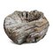 Mid 20th Century Indian Burl Wood Bowl, Image 5