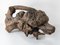 Driftwood Rootwood Poodle Dog Figure 3