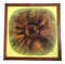 Sonnenblume, 1960er, Gemälde auf Leinwand, gerahmt 1