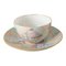 French Teacup & Saucer from Haviland & Co. Limoges., 1888 1