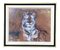 Tiger, 1970s, Painting on Canvas, Framed, Image 1