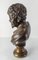 19th Century Italian Grand Tour Bronze Bust of Satyr 3