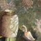 Bodegón con patos y flores, años 70, pintura sobre lienzo, enmarcado, Imagen 3