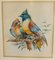 Estudios de pájaros coloridos, siglo XIX, pintura de acuarela, enmarcado. Juego de 2, Imagen 6