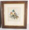 Studies of Colorful Birds, 19th Century, Watercolor Painting, Framed, Set of 2 3