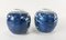Chinese Chinoiserie Blue and White Prunus Ginger Jars, Set of 2 5