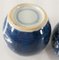 Chinese Chinoiserie Blue and White Prunus Ginger Jars, Set of 2 10