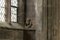 Aldaba de Chester Diablillo inglés vintage de latón fundido, Imagen 9