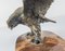 Early 20th Century Americana Bronze Eagle Statue on Marble Base 11