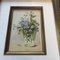 Piccole nature morte floreali, acquerelli, anni '60, con cornice, set di 2, Immagine 2