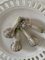 Assiette à Oignon Trompe Loeil Vintage en Porcelaine 3
