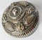 Early 20th Century South East Asian Repousse Silver Betel Box 6