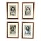 18th Century Style Portraits, Engravings, 1980s, Set of 4 1