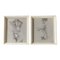 Estudio de figura femenina desnuda, años 50, carboncillo sobre papel, Imagen 1