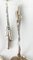 Late 19th Century Durgin Cattails Sterling Silver Demitasse Chocolate Spoons, Set of 12 6