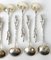 Late 19th Century Durgin Cattails Sterling Silver Demitasse Chocolate Spoons, Set of 12 9