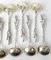 Late 19th Century Durgin Cattails Sterling Silver Demitasse Chocolate Spoons, Set of 12, Image 9