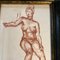 Disegni di studio di nudo femminile color seppia, anni '50, opera d'arte su carta, con cornice, set di 2, Immagine 4