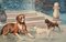 A.N. Blanchard, Dogs & Cat, 1930s, Watercolor Painting 5