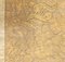 Ricamo in filo di seta dorata, XIX secolo, Immagine 7
