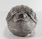 Caja de betel con forma de tortuga de plata del sudeste asiático de principios del siglo XX, Imagen 5