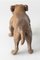 Bulldog inglés austriaco de principios del siglo XX pintado en frío, Imagen 4