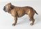 Early 20th Century Austrian Vienna Cold Painted English Bulldog, Image 3