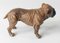 Early 20th Century Austrian Vienna Cold Painted English Bulldog, Image 5