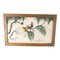 19th or 20th Century Chinese Chinoiserie Export Watercolor Painting of Birds of Paradise 1