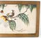 Acuarela de exportación de chinoiserie china de los siglos XIX o XX de aves del paraíso, Imagen 3