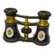 19th Century French Parcel Gilt Bronze and Enamel Opera Glasses 1