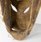 Máscara tribal decorativa Bamana Kore africana del siglo XX, Malí, Imagen 12