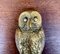 Vintage Cast Brass Owl Door Knocker 2