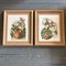 Fruit & Flowers, Lithograph Prints, 1970s, Set of 2, Image 5