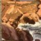 Guazzo con paesaggio marino, anni '50, carta, Immagine 3