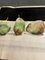 Still Life Line Up of Pears, 1970s, Watercolor on Paper, Image 6