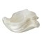 Mid-Century Italian Murano Seashell Form Decorative Bowl 1