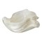 Mid-Century Italian Murano Seashell Form Decorative Bowl, Image 1