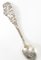 20th Century Sterling Silver Floral Pattern Spoon of Daylily by R. Blackinton 5