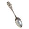 20th Century Sterling Silver Floral Pattern Spoon of Daylily by R. Blackinton 1