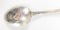 20th Century Sterling Silver Floral Pattern Spoon of Daylily by R. Blackinton 7