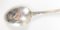 20th Century Sterling Silver Floral Pattern Spoon of Daylily by R. Blackinton, Image 7